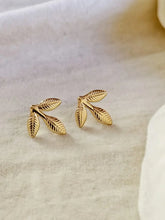 Golden Leaf Elegance Stud Earrings | AMOLA