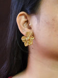 Golden Floral Tarnish-Free Stud Earrings | AMOLA
