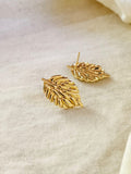 Golden Leaf Statement Stud Earrings | AMOLA